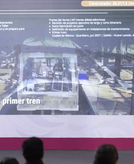 Inversi�n en proyecto de trenes