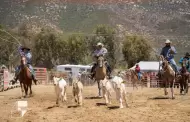 Re�nen eventos de "Vi�adas" a miles de visitantes y locales, en una celebraci�n del vino, la agricultura, la gastronom�a, la cultura y tradiciones del