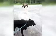Mujer y su perro sobreviven a un tenso encuentro con un oso en Canad�