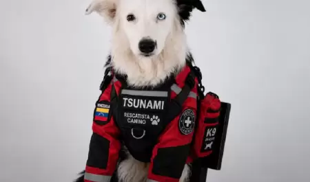 Tsunami