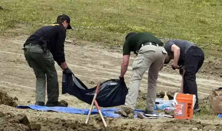 Investigan refugio de California tras hallar restos de al menos 117 perros con h