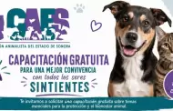 Coalici�n Animalista de Sonora ofrece capacitaciones gratuitas sobre bienestar animal