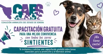 Coalici�n animalista