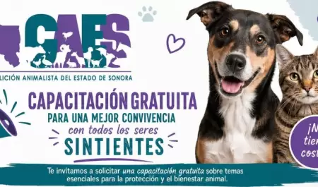 Coalici�n animalista