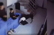 Doberman enternece en redes al llevarle una cama a un perrito que descansaba en el suelo