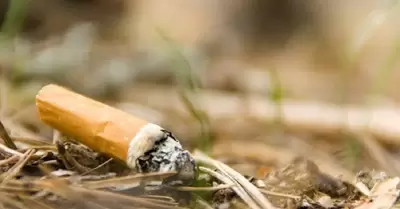 Colillas de cigarro