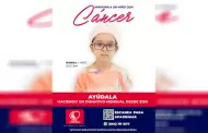Fundaci�n Castro-Lim�n lanza campa�a urgente para apadrinar a ni�os y adolescentes con c�ncer.