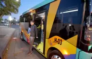 H Bus sigue en marcha este verano con rutas activas y viajes especiales