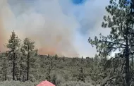 Atiende Divisi�n Forestal de Ensenada incendio en Sierra de Ju�rez