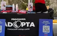 Invita Fundaci�n Castro-Lim�n a apadrinar la esperanza de un ni�o con c�ncer