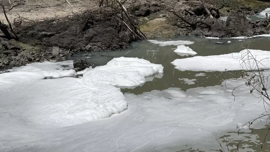 contaminaci�n r�o Tijuana