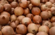 Agricultora transform� un video sobre la cebolla en una nueva fuente de ingresos