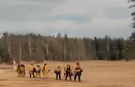 Mantiene Bomberos de Ensenada monitoreo del incendio forestal en el Parque Nacional Sierra San Pedro M�rtir
