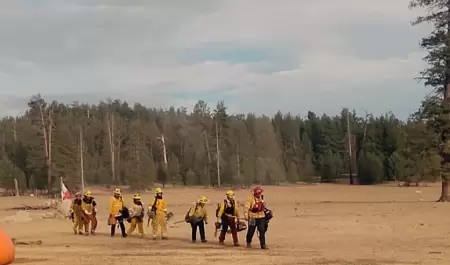 Monitoreo del incendio forestal en el Parque Nacional Sierra San Pedro M�rtir