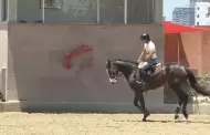 VIDEO.- Tijuana albergar� el Cl�sico Internacional de Salto con bolsa de medio mill�n de pesos
