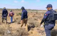 Realizan operativo conjunto de b�squeda en Punta Colonet