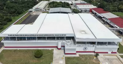 Planta de producci�n de moscas est�riles