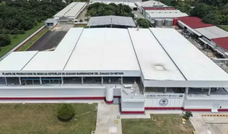 Planta de producci�n de moscas est�riles