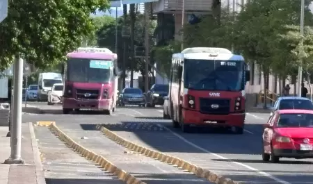 Camiones en Hermosillo. transporte urbano