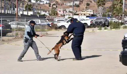 Unidad K-9 de la Fiscal�a de Baja California obtiene certificaci�n internacional