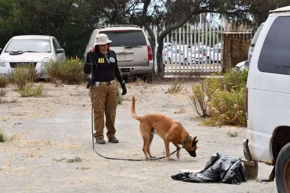 Unidad K-9 de la Fiscal�a de Baja California obtiene certificaci�n internacional
