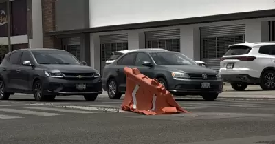 Baches