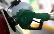 Ciudadanos exigen frenar gasolinera por riesgo a lagunas y fauna silvestre