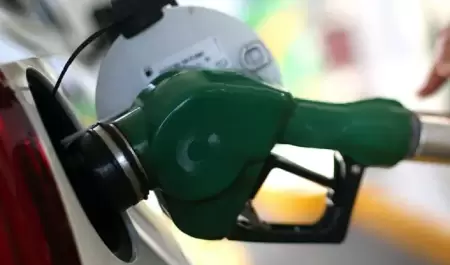 Gasolina