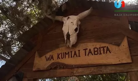 Wa Kumiai Tabita.