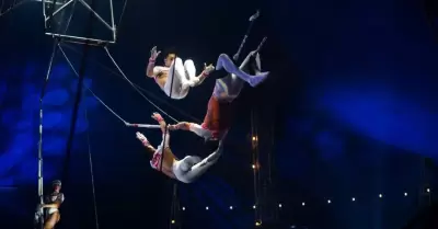 Circo Fuentes Gasca