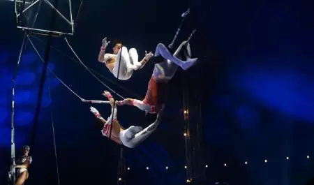 Circo Fuentes Gasca