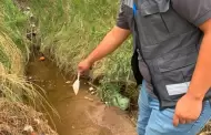 �Cuidado despu�s de la lluvia! Alerta por mayor riesgo de dengue