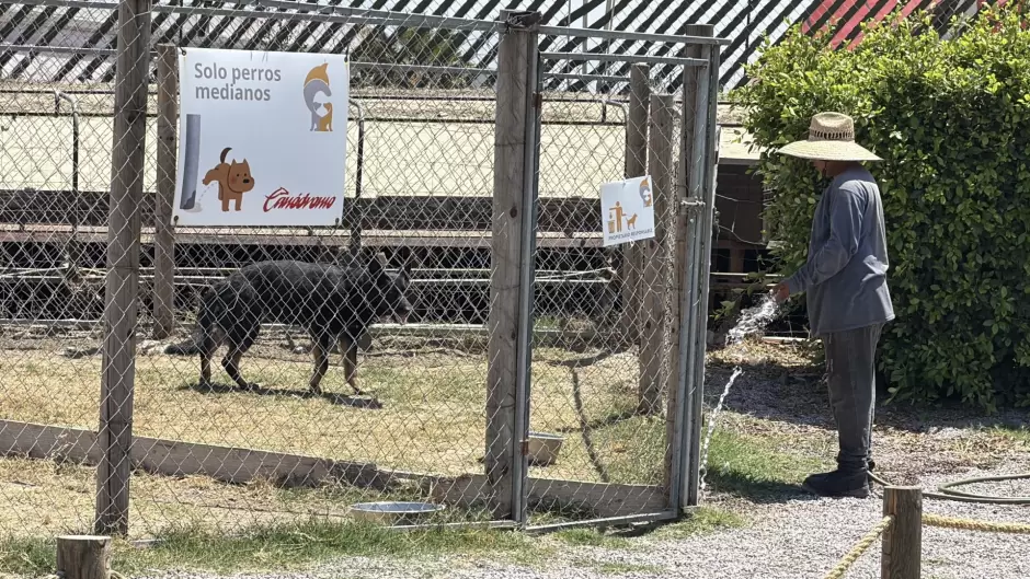 Recuperan antiguo Galg�dromo de Tijuana como espacio para actividades caninas