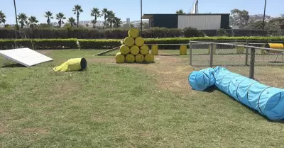 Recuperan antiguo Galg�dromo de Tijuana como espacio para actividades caninas