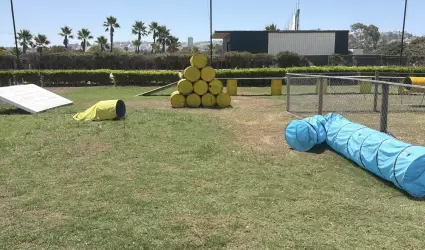 Recuperan antiguo Galg�dromo de Tijuana como espacio para actividades caninas