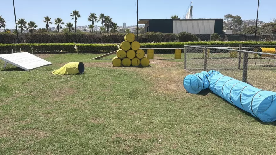 Recuperan antiguo Galg�dromo de Tijuana como espacio para actividades caninas