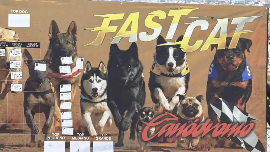 Recuperan antiguo Galg�dromo de Tijuana como espacio para actividades caninas
