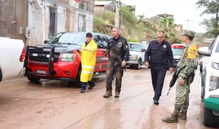 Nogales