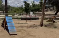 Parques para perros en Hermosillo; diversi�n... con �reas de oportunidad