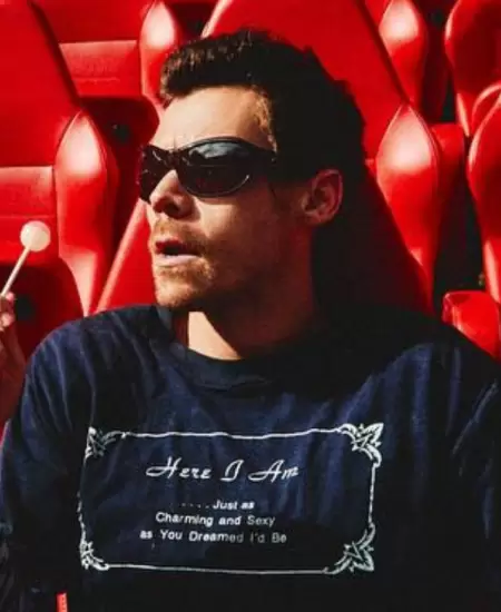 Harry Styles